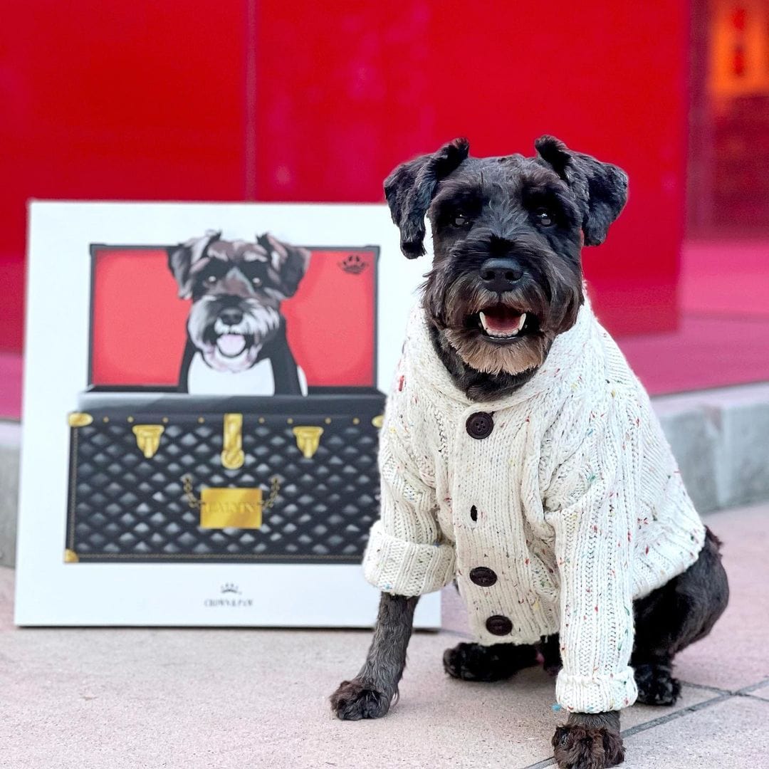 Black and Gold Luxury Trunk Pet Portrait
