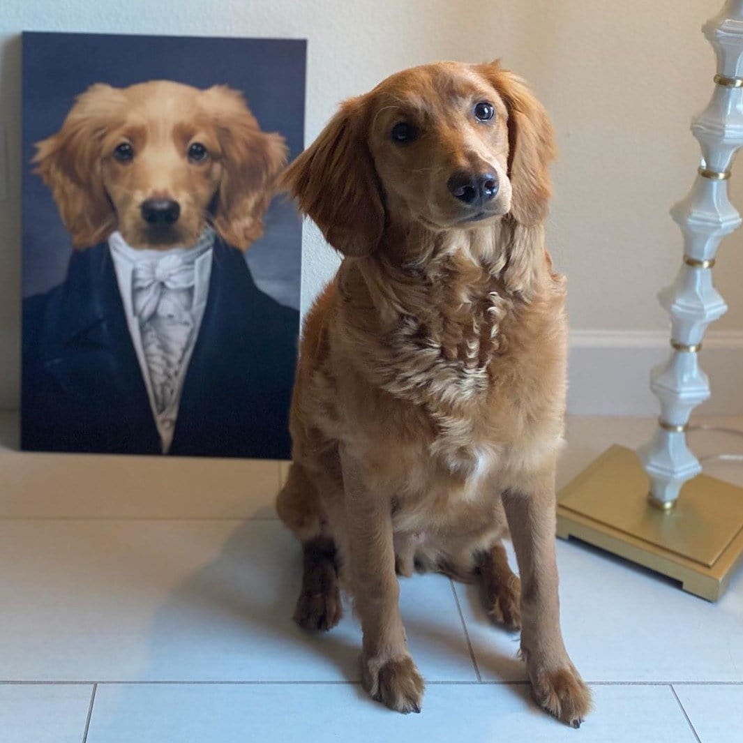 The Aristocrat - Custom Pet Canvas