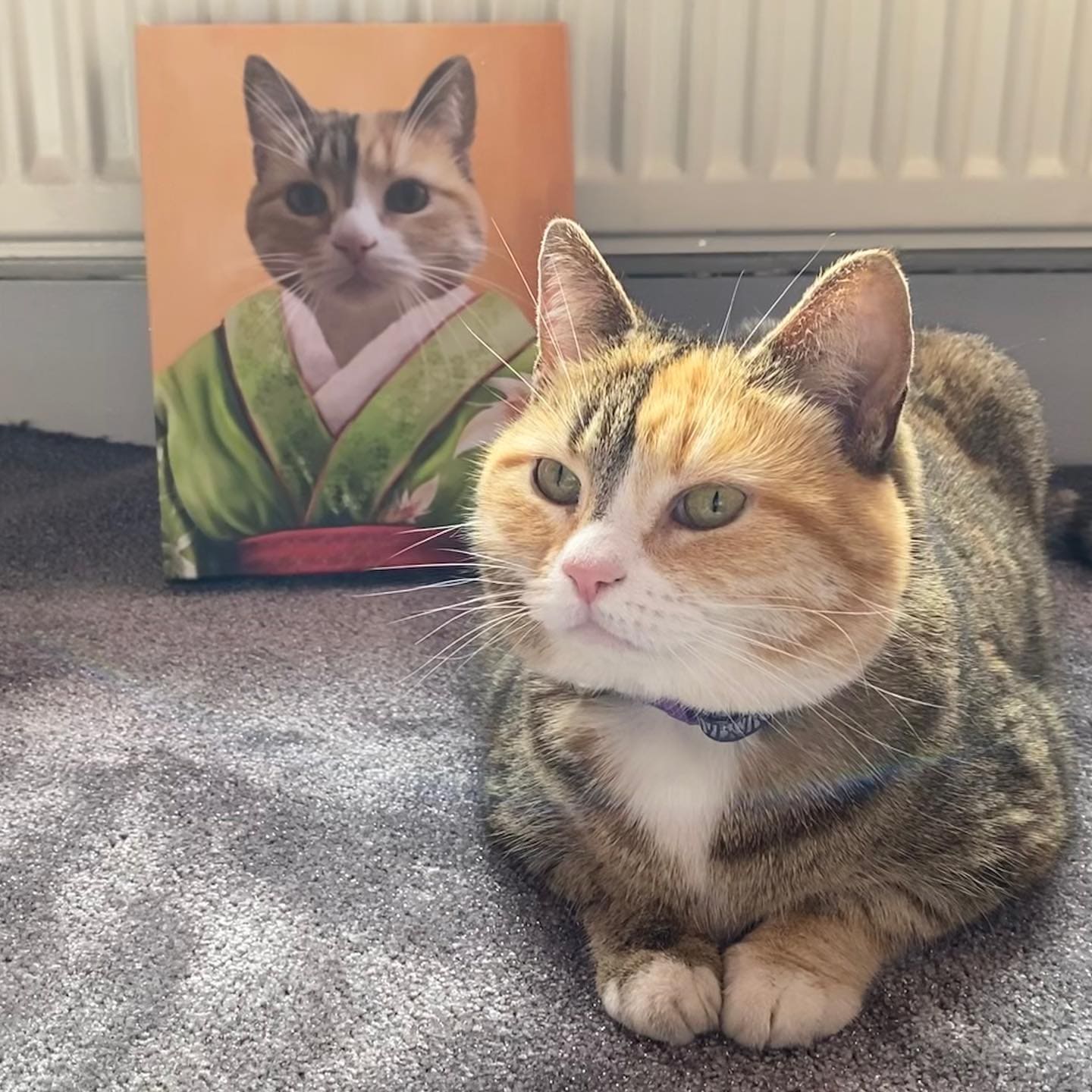 The Geisha - Custom Pet Canvas