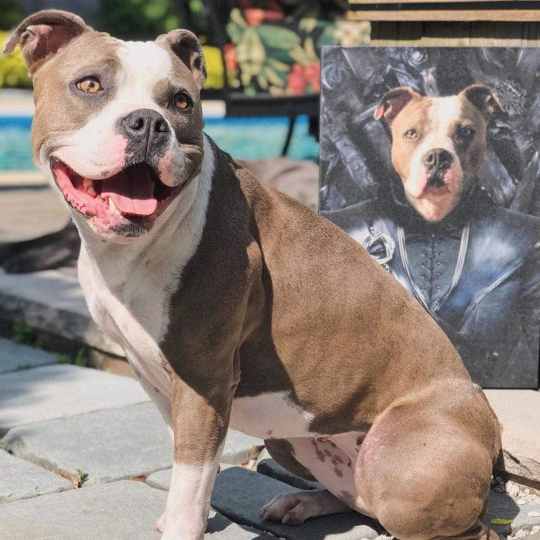 The Mother Of Dragons - Custom Pet Canvas